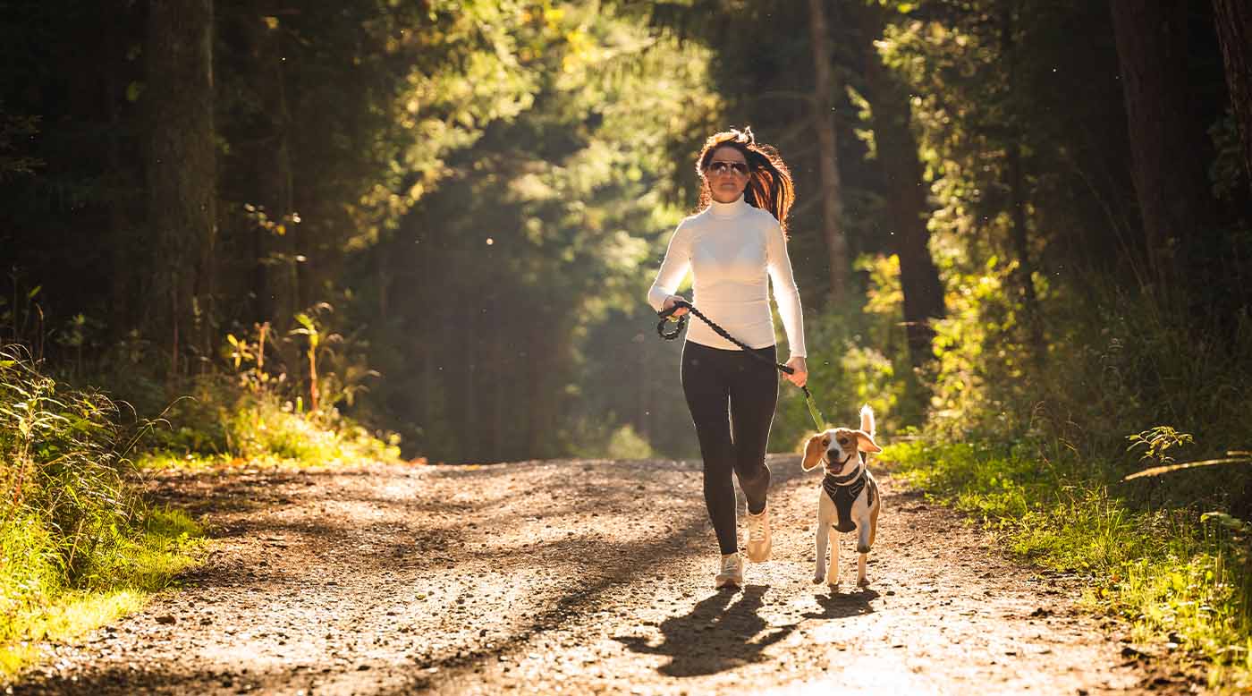 Muskeln und Gelenke beim Hund stärken