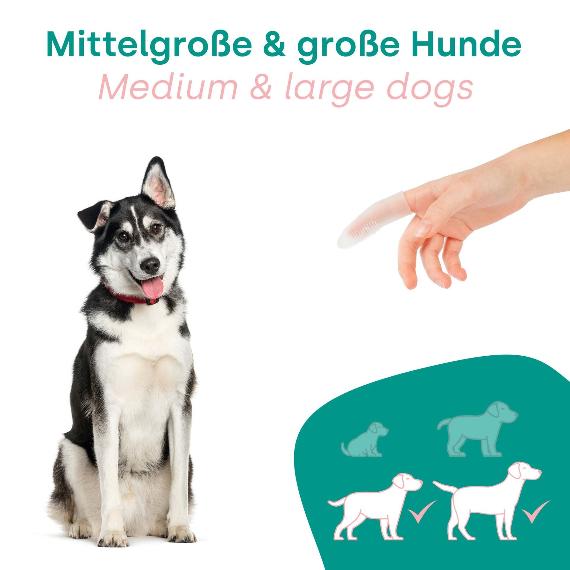 Kit para adultos HappyDentalCare