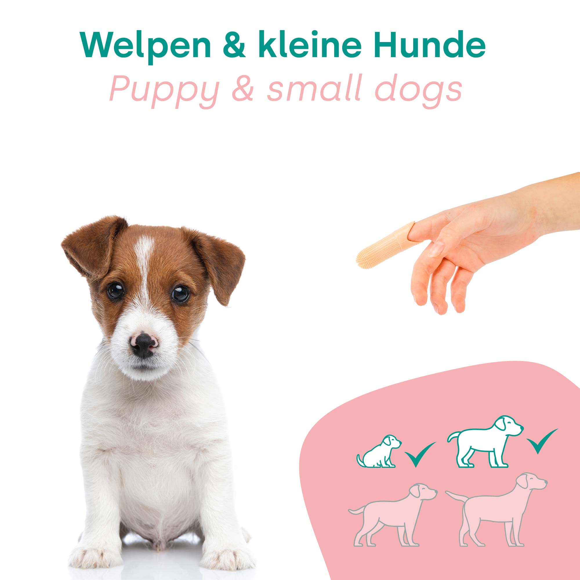 HappyDentalCare Puppie Set