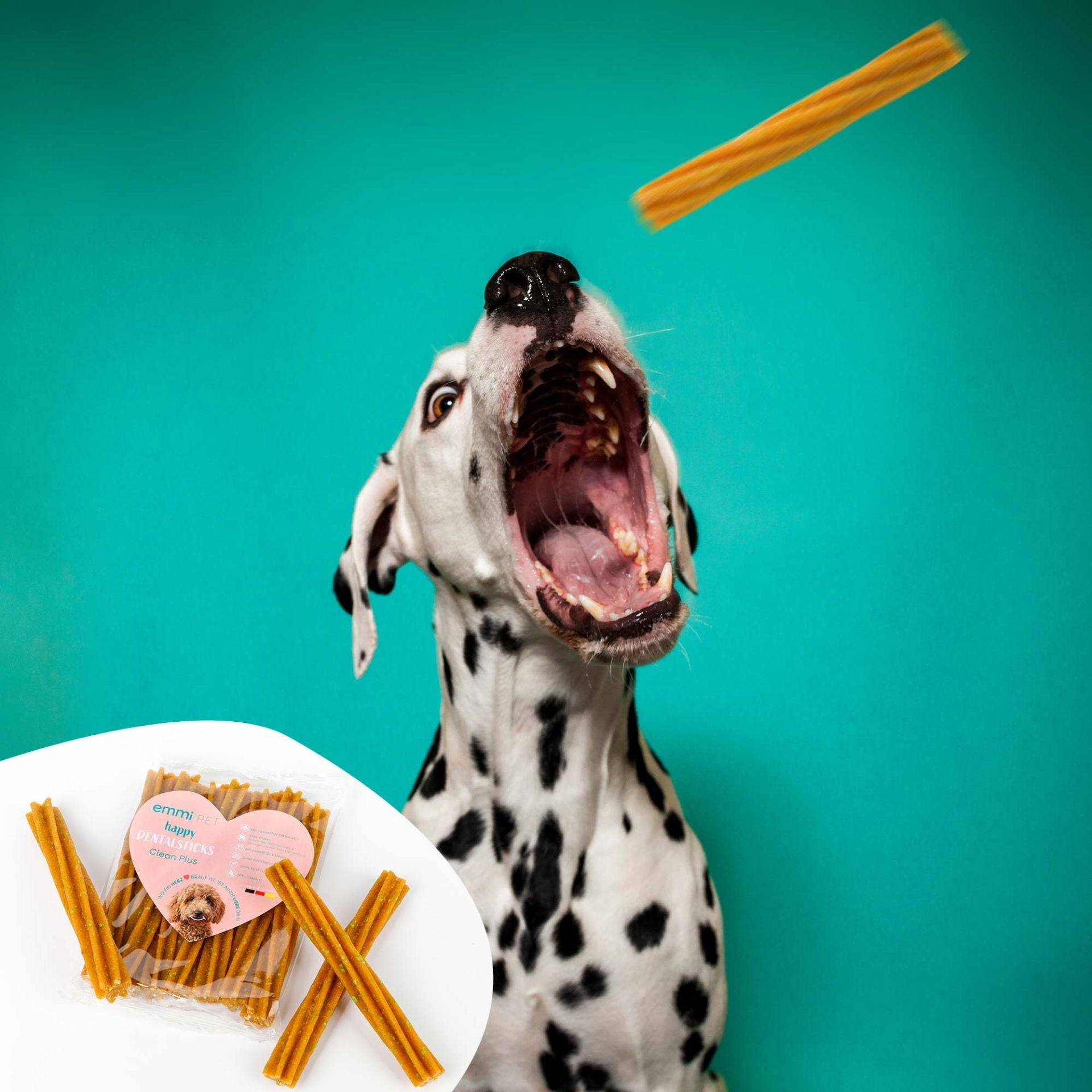 Dentalsticks 3 für 2