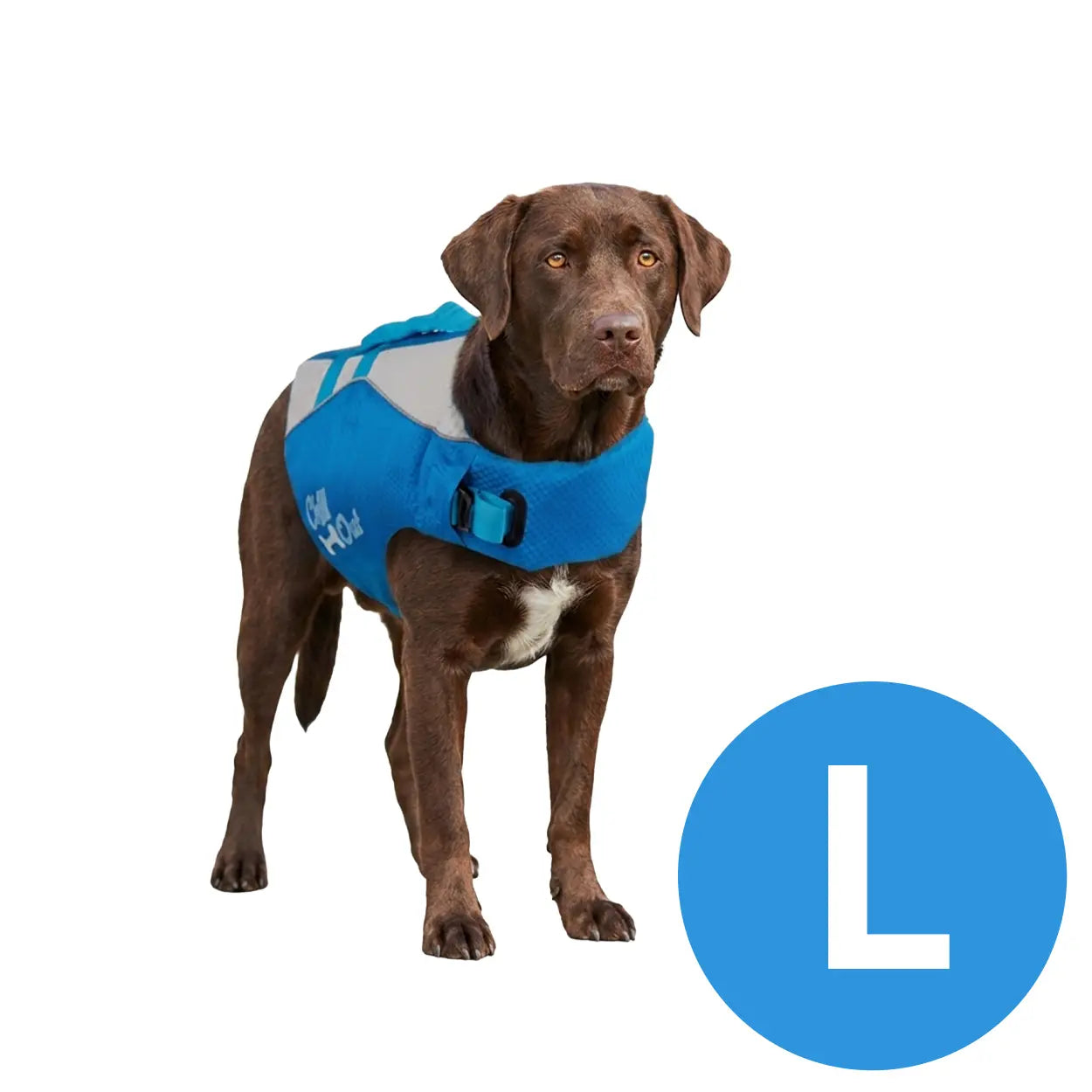 chaleco salvavidas para perros