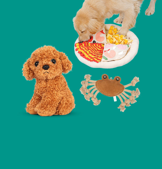 Giocattoli per cani