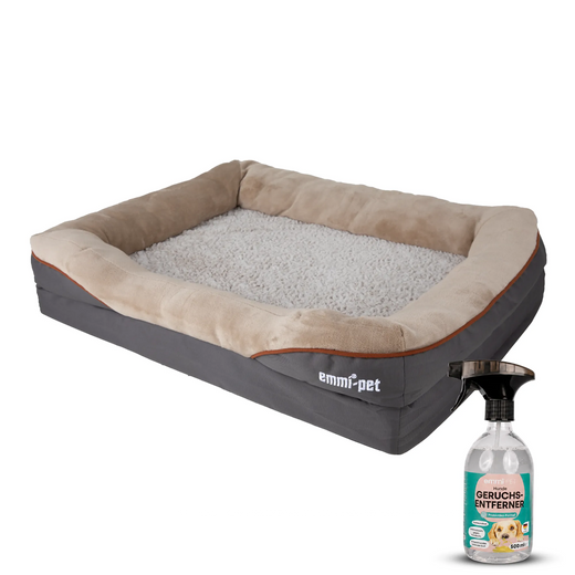 camas para perros