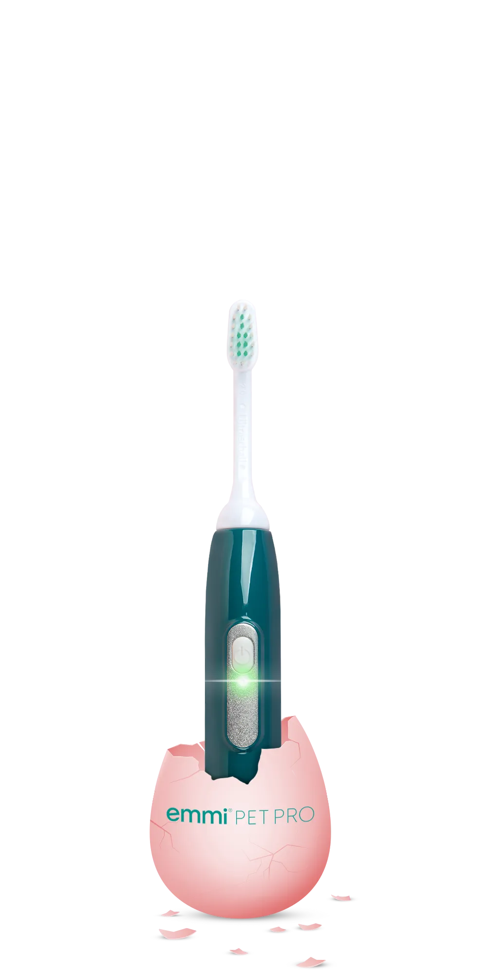 Toothbrush